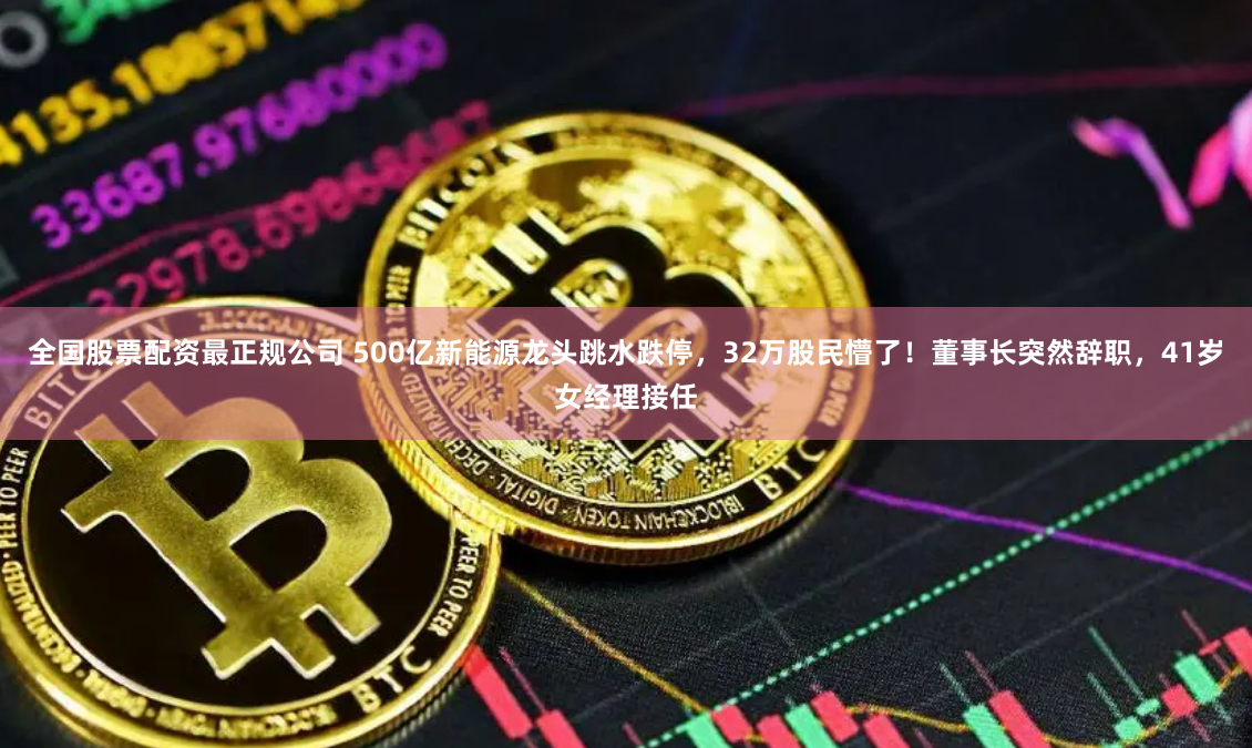 全国股票配资最正规公司 500亿新能源龙头跳水跌停，32万股民懵了！董事长突然辞职，41岁女经理接任