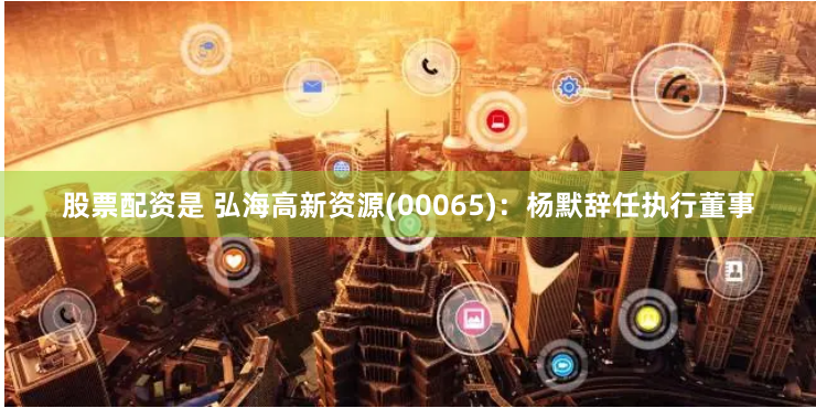 股票配资是 弘海高新资源(00065)：杨默辞任执行董事