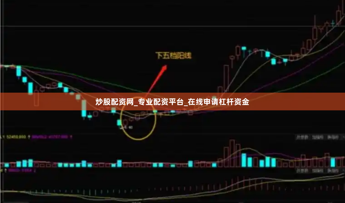 炒股配资网_专业配资平台_在线申请杠杆资金