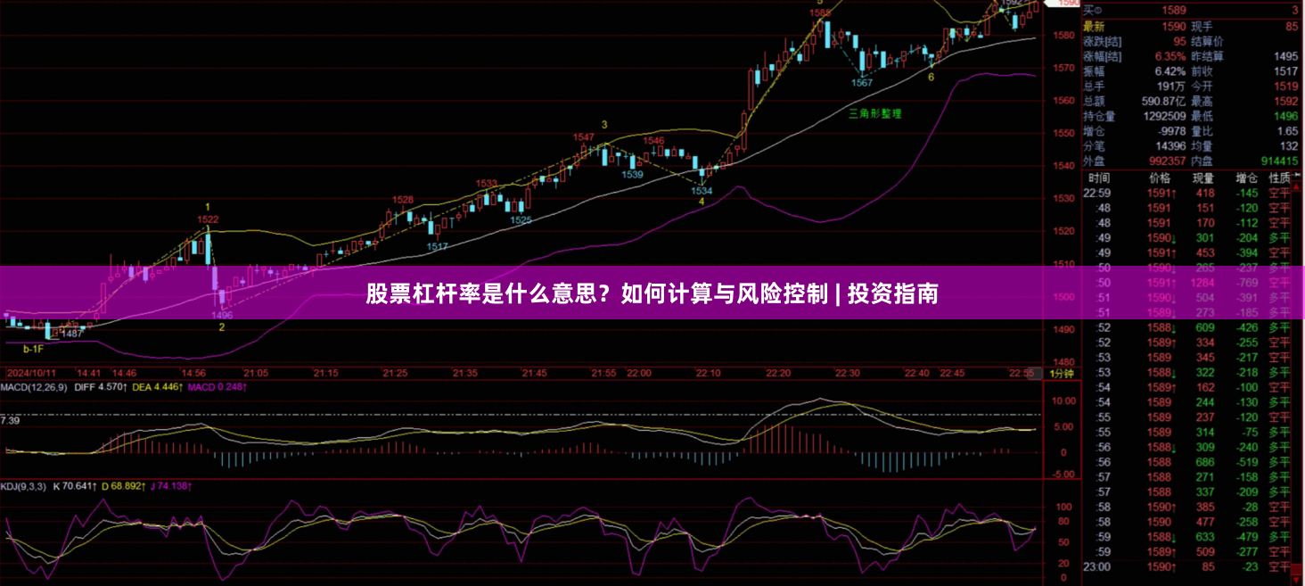 股票杠杆率是什么意思？如何计算与风险控制 | 投资指南